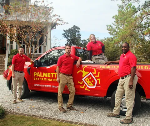 Palmetto Exterminators photo 1