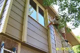 Tom & Ernest Painting photo 2
