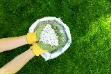 Jay-Lan Lawn Care