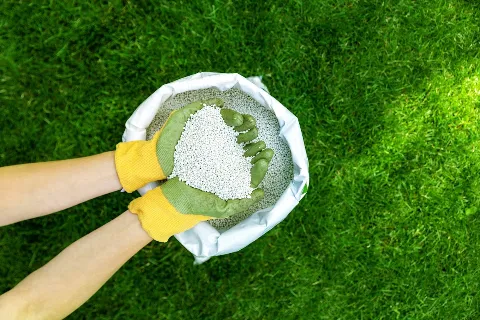 Jay-Lan Lawn Care photo 1