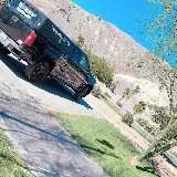 DYNAMIC PEST SOLUTIONS INC. photo 7
