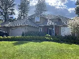 Heinemann Painting photo 2