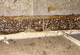 Sandhoff Services Pest and Termite