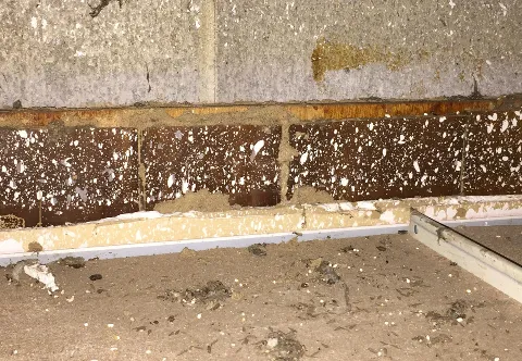 Sandhoff Services Pest and Termite in Waxahachie