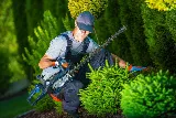 Lethbridge Landscaping Apexpros photo 5