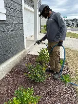 ClearDefense Pest Control photo 4