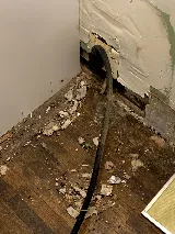 Q.A.P Pest control Richmond hill photo 7