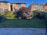 AUR Landscaping & Renovation photo 6
