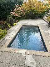 Regency Pool and Spa photo 3