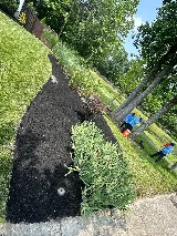 Jose’s Landscaping llc photo 8