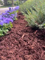 Blossom Landscaping