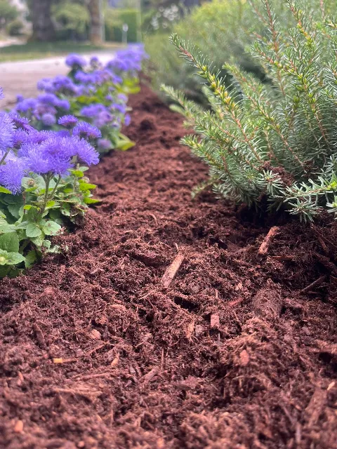 Blossom Landscaping in Vancouver