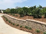 Levy's Landscaping photo 8
