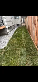Mikes Sod & Landscape photo 3