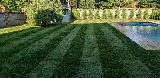 Wildroses Landscaping Corp photo 6