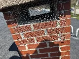 Chicago Pests, LLC photo 5