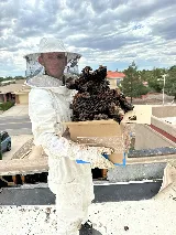 TNT Pest Control Service photo 3