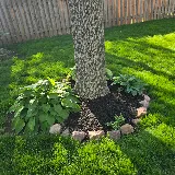 Moku Lawn and Landscaping photo 4
