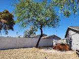 Julio Tree Care & Landscaping