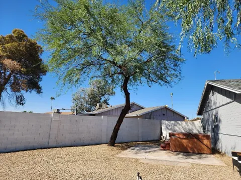Julio Tree Care & Landscaping photo 1