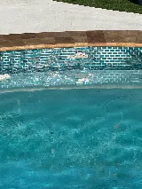 Calypso Pools Construction photo 7