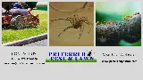 Preferred Pest and Lawn photo 6