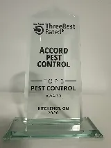 Accord Pest Control photo 8