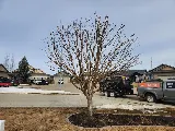 Epic Landscape Services photo 5