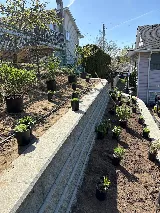 Salix Landscaping photo 7