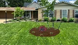 Tennant Landscape Solutions Inc photo 2