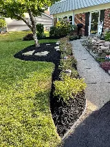 Allen & Son Yard Service photo 6