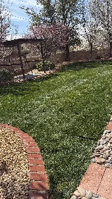 Complete Lawn Care photo 2