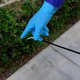 Bend Pest Control Precision photo 8