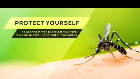 Barefoot Mosquito & Pest Control in Austin