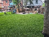 4ever Green Landscaping Services Ltd photo 7