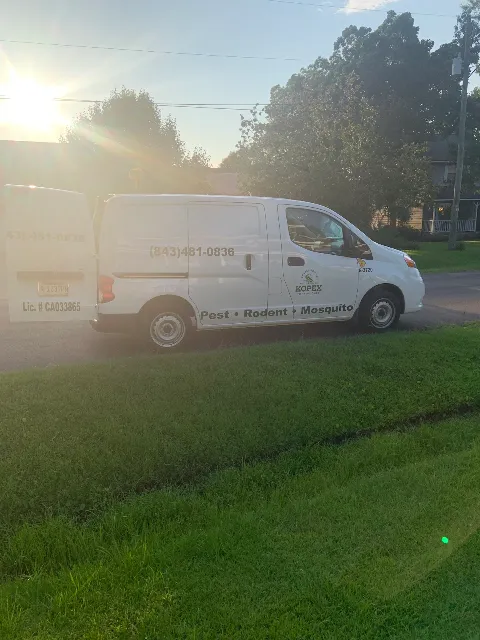 Kopex Pest Control photo 1