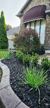 Rainforest Escape Landscaping