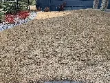 Savvy Pest Control photo 6