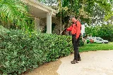 All U Need Pest Control photo 6