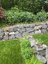Insight Pest Solutions photo 9