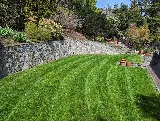 TOMEI Landscaping Ltd