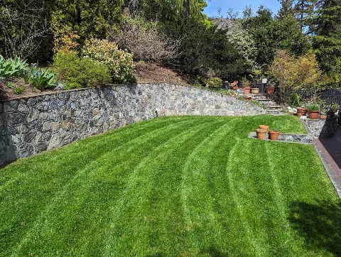 TOMEI Landscaping Ltd photo 1