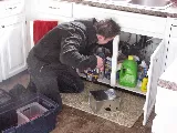 AAA Pest Protection Service photo 4