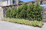 Inland Empire Landscape Inc. photo 8