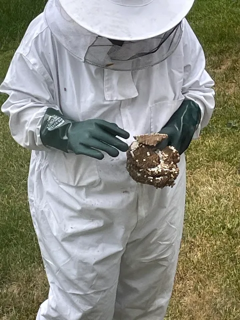 VEXT - Exterminateur Alma photo 1