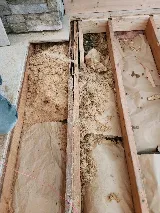 Organix Pest Control photo 8