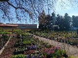 Billings Nursery & Landscaping photo 5