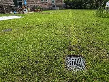 Oak Branch Landscaping photo 6