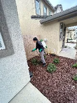Aptive Pest Control photo 3