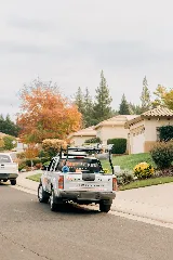 Next Level Pest Control photo 8